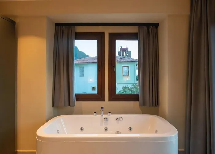 Havuzlu Korunakli Jakuzili *